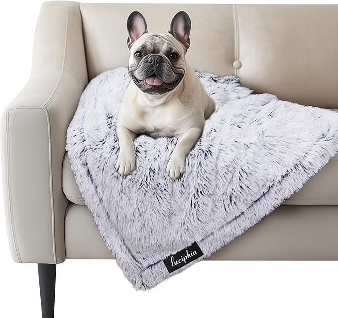 Luciphia Large Waterproof Dog Blanket Pet Washable Liquid Proof Furniture Protector Small Shaggy Plush Calming Long Faux Fur Bed Cover for Couch Cat Blankets for Kitten Doggy, Mist Grey, 30" x 40"