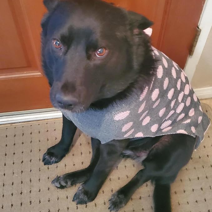 KYEESE Dog Sweater Dress Turtleneck Dog Sweaters for Girl Medium Dogs Polka Dot Knit Pullover Warm Pet Clothes for Fall Winter