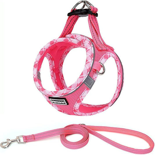 Mercano Soft Mesh Dog Harness and Leash Set, No-Chock Step-in Reflective Breathable Lightweight Easy Walk Vest Harnesses with Safety Buckle for Small Dogs, Cats (S, Fuchsia)