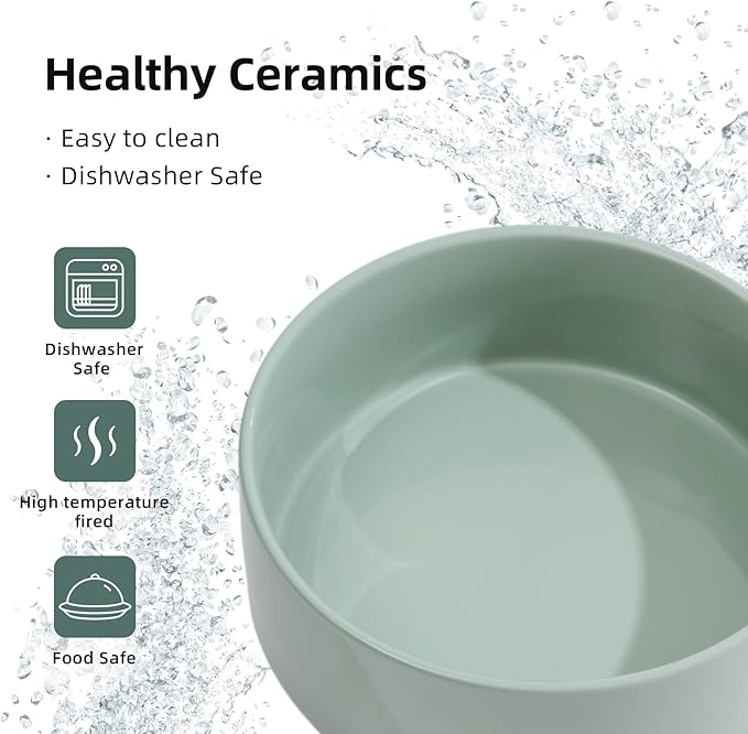 Ceramic 8.2inch Dog Bowl for Large-Breed Dogs, Anti-Slip and Weighted Pet Food and Water Bowl (Single Bowl - Light Green)