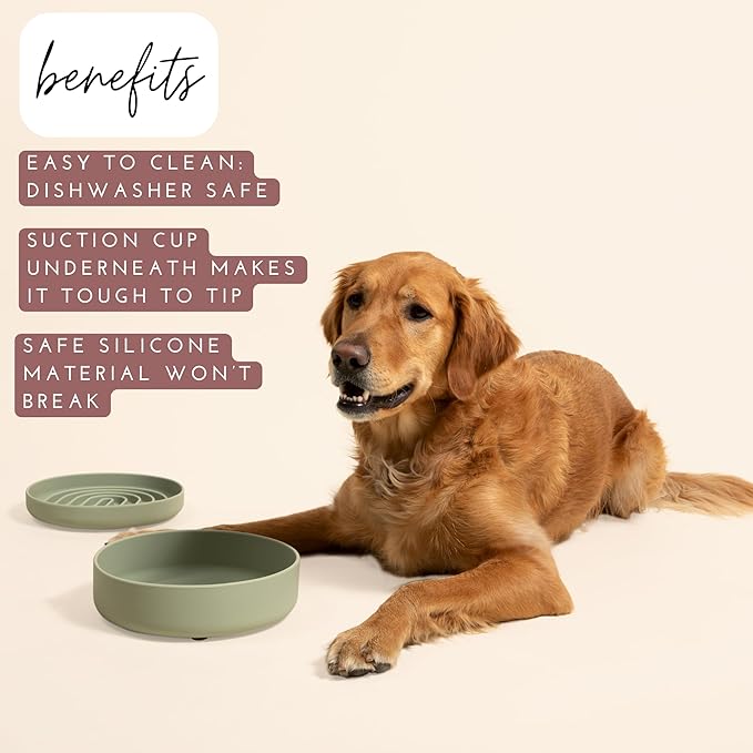 Should We Go? Dog Water Bowl - The Perfect Dish No-Spill, Less Mess Non-Tippable Water & Food Bowl Pure Silicone with Suction Cup Fits 8 Cups 9.5" Across x 2.5" Tall Ideal for All Pets, Large-Charcoal