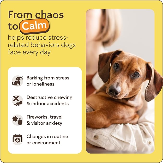 TheraPet MD 60-Day Dog Calming Diffuser - Dog Pheromone Diffuser for Stress, Destructive Behavior, Pee Accidents, Separation Anxiety, Barking, Aggression & Chewing - 60-Day Refill Included