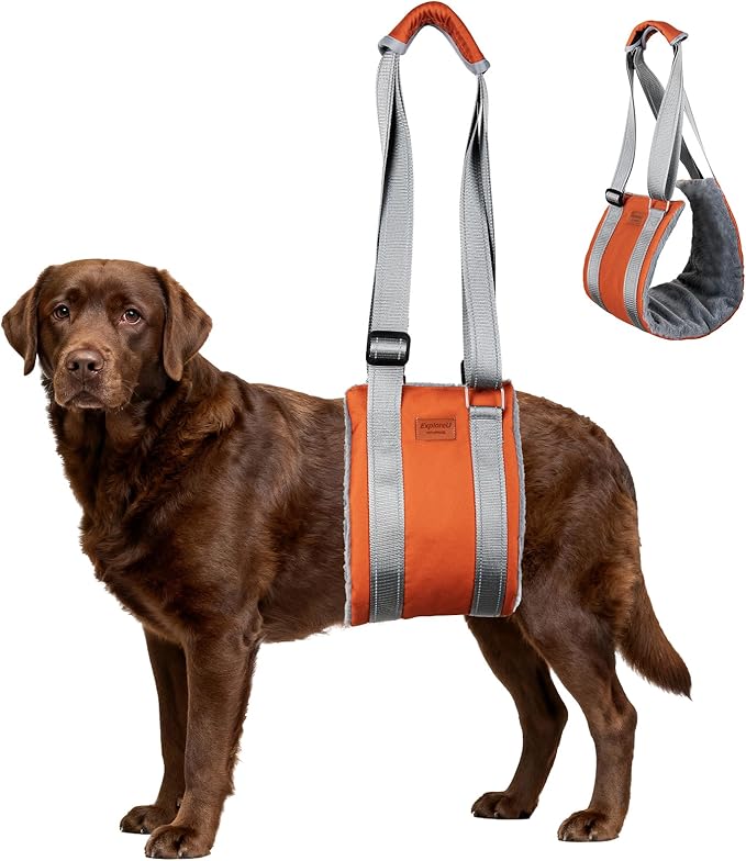 ExploreU Dog Sling for Back Legs Dog Lift Harness Magic Tape Hip Support Harness Rehab to Help Senior,Injured,Arthritis,Hip Dysplasia,Weak Rear Leg,Disabled,After ACL/CCL Surgery,TPLO Dogs (Brown, S)