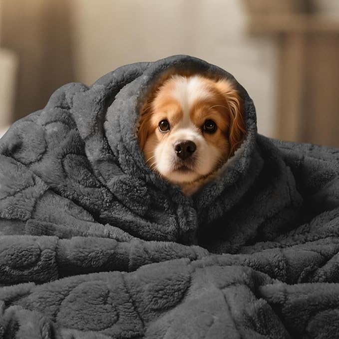 Luciphia Waterproof Dog Blanket for Small Medium Dogs Washable Couch Protector Soft Fluffy 3D Heart Jacquard Puppy Cat Blanket with Sherpa Fleece Cozy Calming Throw Blankets, Grey 57x40 inch
