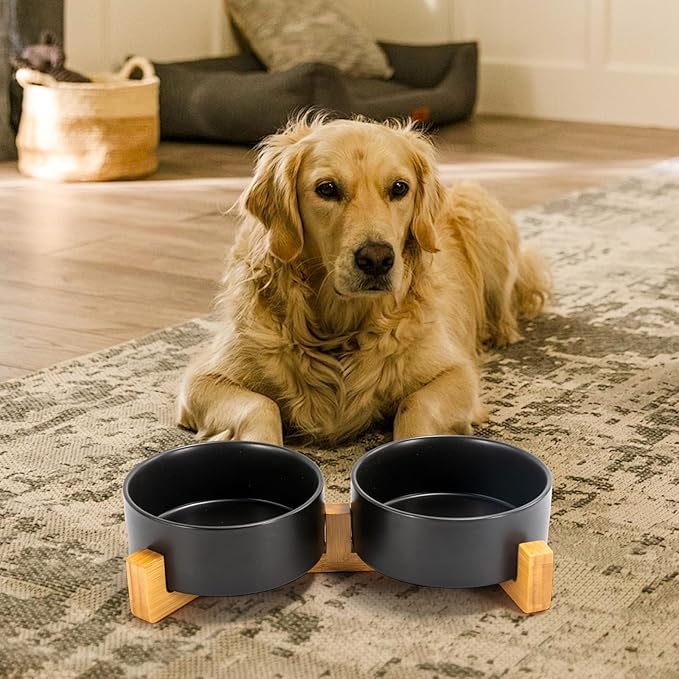 SPUNKYJUNKY Ceramic Dog and Cat Bowl Set with Wooden Stand, Modern Cute Weighted Food Water Bowl Set for Medium to Large Size Dogs (42 OZ, 2 × Black)
