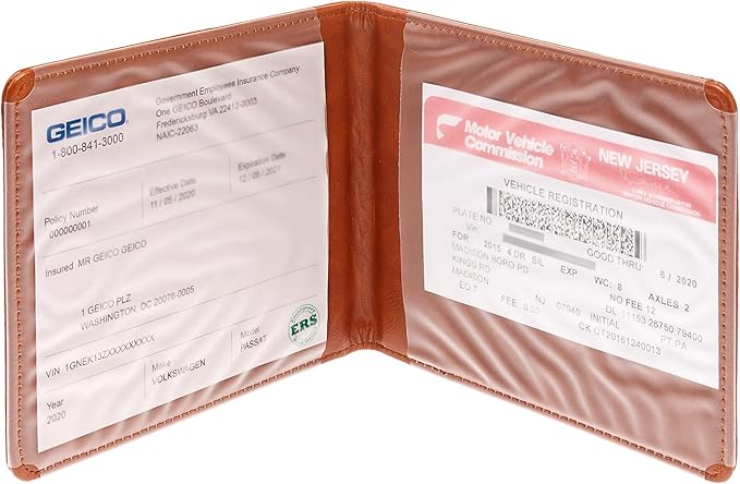 CANOPUS Car Registration and Insurance Holder with Magnetic Closure, Car Document Holder, Vehicle Glove Box Organizer, Wallet for Auto, Motorcycle, Truck and More, 1 Pack with EZ Pass Strip, Car