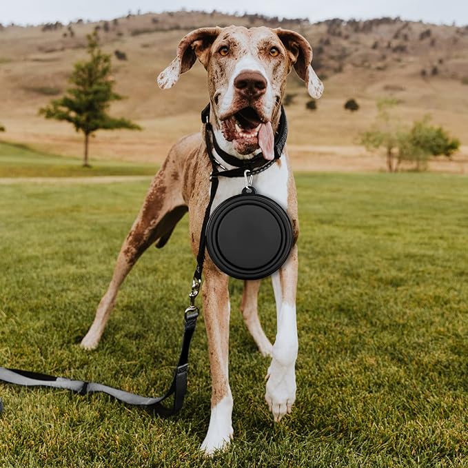 Collapsible Dog Bowl, Lightweight and Portable, Ideal for Outdoor, Hiking, Camping, and Walking Your Dog