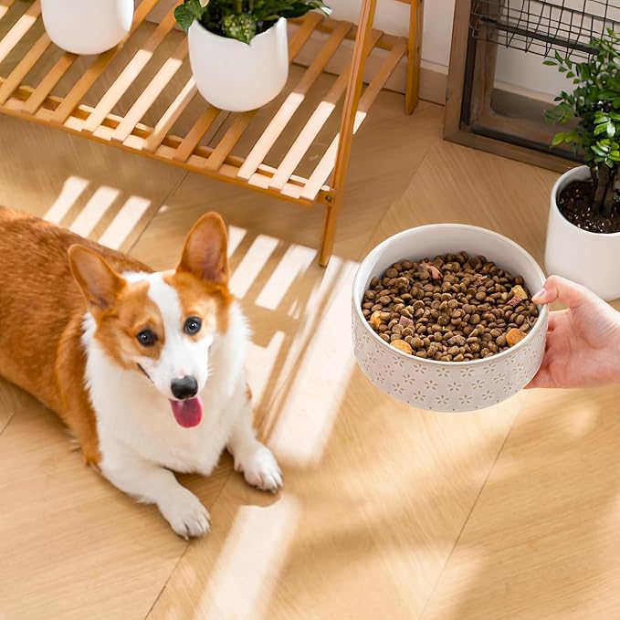 MALACASA Ceramic Dog Food Bowl, 3.5 Cups or 32oz Dog Food Water Dish for Mudium Breeds, Pet Bowl Dishwasher & Microwave Safe, Five-Leaf Grass, Series Lydia