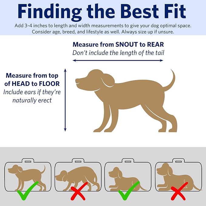 Midwest Homes for Pets 18-Inch iCrate Folding Dog Crate with Divider Panel, Leak-Proof Tray & Secure Latches – Metal Wire Kennel for Tiny Breeds – Portable, Durable & Easy to Assemble