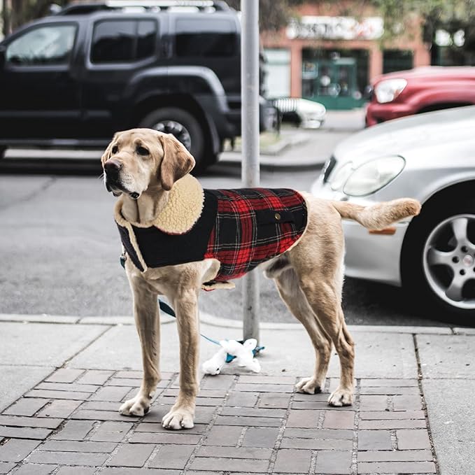Winter Coat for Small and Medium Dogs, Puppy Plaid Jacket, Cotton Coat for Cold Weather, Windproof Warm Dog Garments, Pet Thickened Outfits Indoor Outdoor, Red S