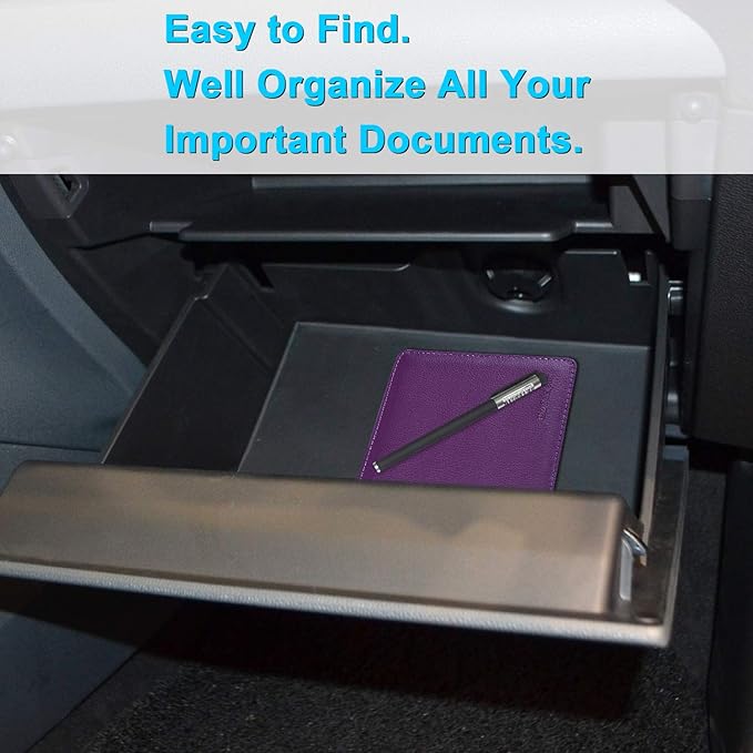 Wisdompro Small Car Registration and Insurance Documents Holder - Premium PU Leather Vehicle Glove Box Paperwork Wallet Case Organizer for ID, Driver's License, Key Contact Information Cards