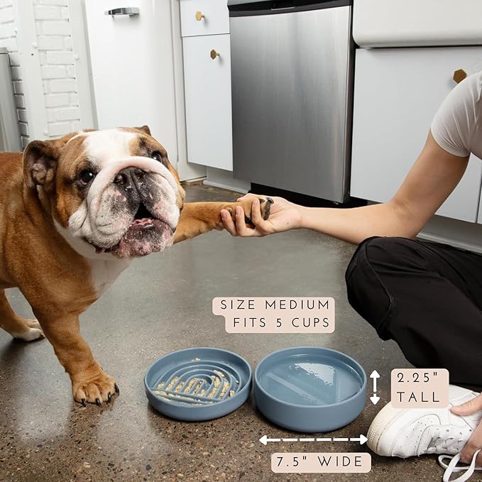 Should We Go? Dog Water Bowl - The Perfect Dish No-Spill Less Mess Non-Tippable Water & Food Bowl, Pure Silicone with Suction Cup Fits 5 Cups 7.5" Across x 2.25" Tall Ideal for All Pets, Medium-Spruce
