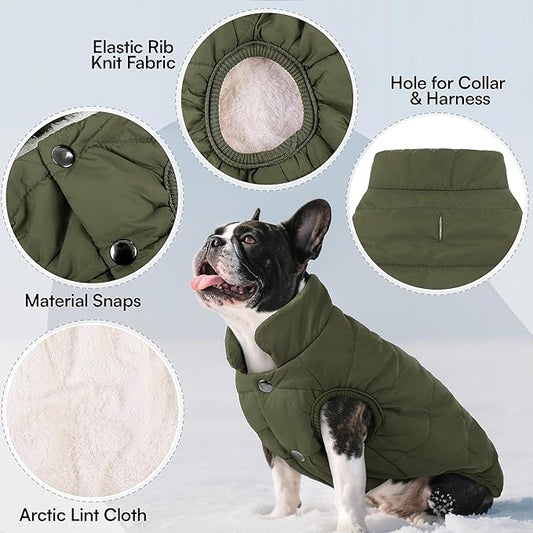 ASENKU Windproof Dog Winter Coat Waterproof Fleece Jacket Cold Weather Pet Apparel for Small Medium Large Dogs (ArmyGreen, M)