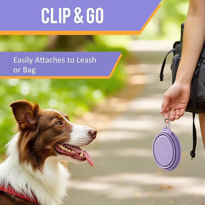 Li&Zhao Collapsible Dog Bowls - Silicone Travel Dog Bowl with Cover Lids Portable Expandable Pet Bowls Portable Water Bow for Cats Feeding Traveling Camping Hiking Walking(Purple)