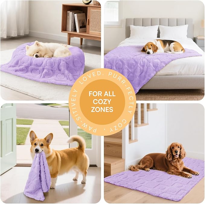 Luciphia Small Dog Blanket Washable Pet Bed Cover Soft Fluffy Puppy Blanket with Premium Fleece 300GSM Cozy Calming Cat Blankets for Indoor Cats Light Purple 30x20 inch