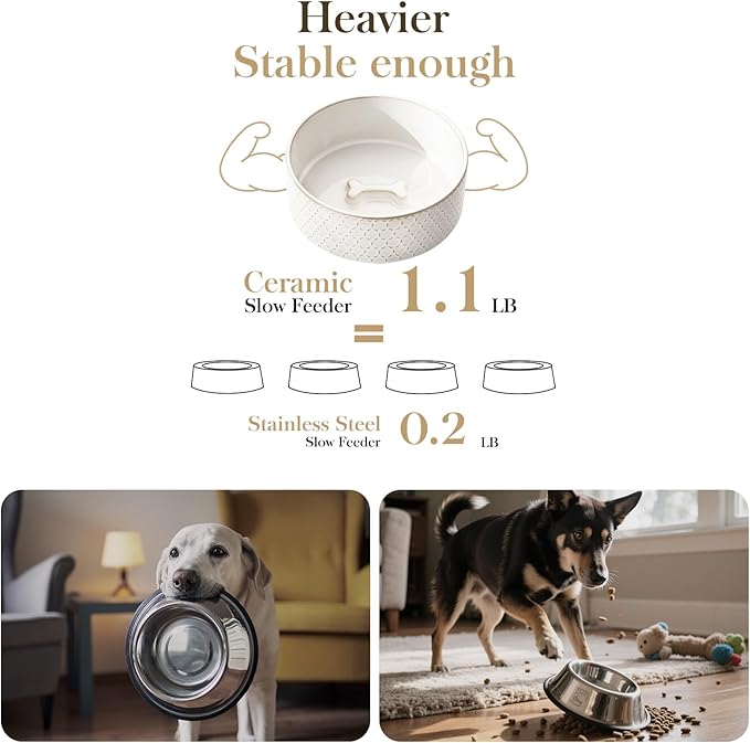 MALACASA Ceramic Dog Food Bowl, 6 Cups or 54 oz Dog Food Water Dish for Large Breeds, Pet Bowl Dishwasher & Microwave Safe, Honeycomb, Series Lydia