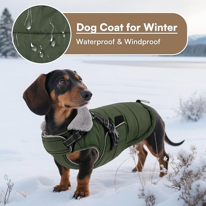 Queenmore Small Winter Dog Coat with Harness Built-in, Waterproof Winter Jackets for Small Dogs, Puppy Warm Puffer Jacket for Snow Weather - Fleece Reflective Easy On Hook & Loop Closure, Green S