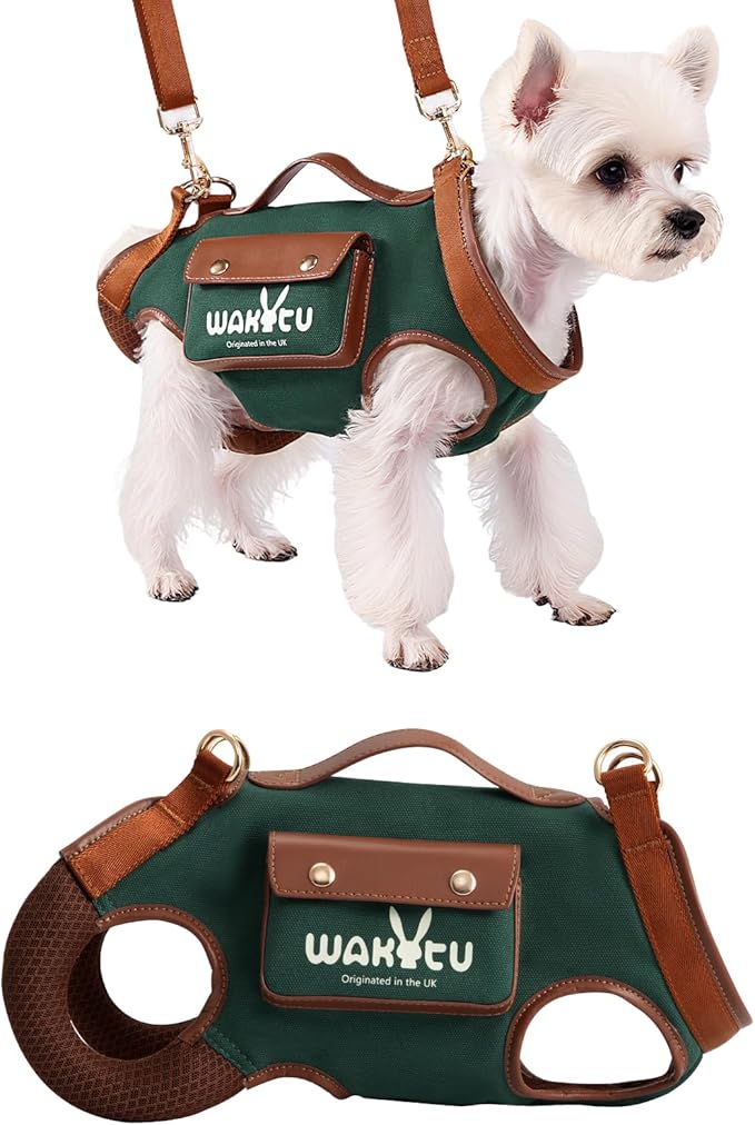 Wakytu Dog Lift Harness Dog Carrier Dog VES Harness Adjustable Dog Leash with Small Puppy Treat Bag（Green,S）
