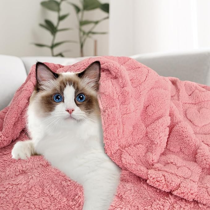 MACEVIA Fluffy Fleece Dog Blankets,Warm Soft Fuzzy Pets Blanket for Puppy,Small,Medium,Large Dogs and Cats,Plush Pet Throws for Bed,Couch,Sofa,Travel(40x60 Inch,Pinkt)