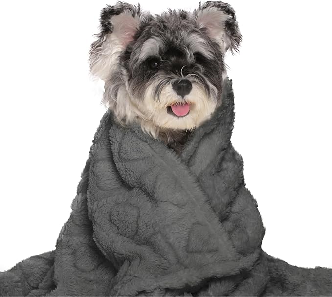 gogobunny Calming Plush Dog Cat Blanket 300GSM Coral Fleece, Ultra-Soft Machine Washable Pet Bedding for Small Medium Dogs Cats Puppies Kittens (Anthracite, 30x40)