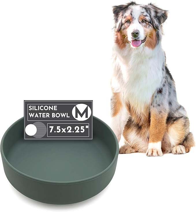 Should We Go? Dog Water Bowl - The Perfect Dish No-Spill Less Mess Non-Tippable Water & Food Bowl, Pure Silicone with Suction Cup Fits 5 Cups 7.5" Across x 2.25" Tall Ideal for All Pets, Medium-Spruce
