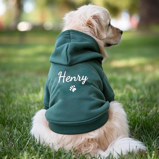 Personalized Name Dog Hoodie, Embroidery Pet Sweaters for Small Dogs, Customized Pet Clothes Warm Winter Outfit for Dogs, Bright Puppy Sweatshirt, Pets Birthday Outfit, Dog Lovers Gifts