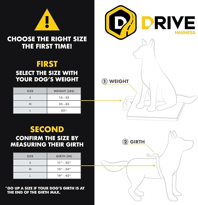 EzyDog Drive Dog Car Harness – Crash Tested and Certified (US-FMVSS 213) Dog Seat Belt Harness for Safe Travel, Adjustable with Padded Comfort (Large)