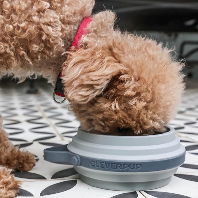 Nomad Small Collapsible Dog Bowl - 2 Cup Food-Safe Silicone Travel Bowl for Dogs, Portable & Sturdy, Food/Water, Dishwasher Safe - Grey