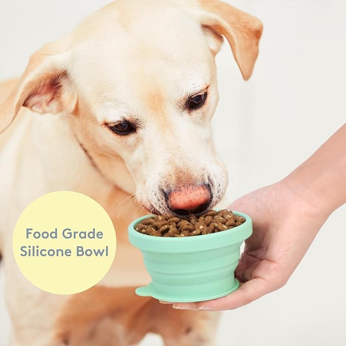 Sweet Paws Travel Hero 3-in-1 Portable Pet Food Container, Silicone Water Bowl, and Poop Bag Dispenser in One, Glacier