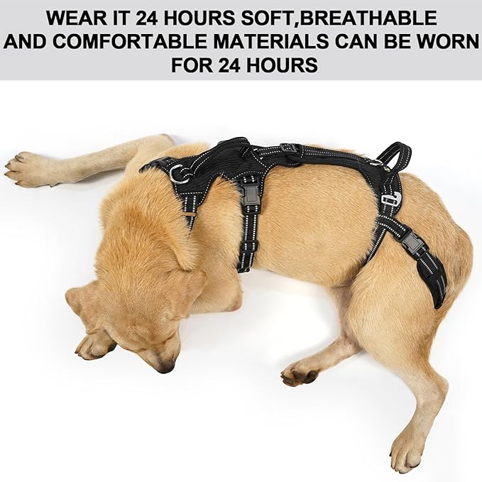 COODEO Mobility Dog Lift Harness, Support Sling & Walking Sling for Dogs, Pet Rear Leg Rehabilitation Support Vest, Dog Carrier for Senior Dogs with Joint Injuries, Arthritis, Up Stair (Black, L)