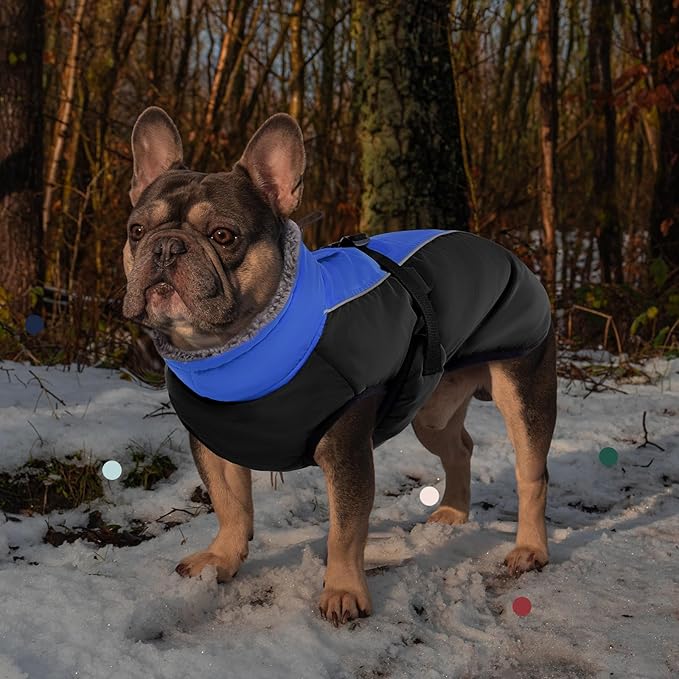 IECOii Extra Warm Dog Coat with Reflective Adjustable Buckle Fleece Turtleneck for Small to Extra Large Dogs in Cold Weather
