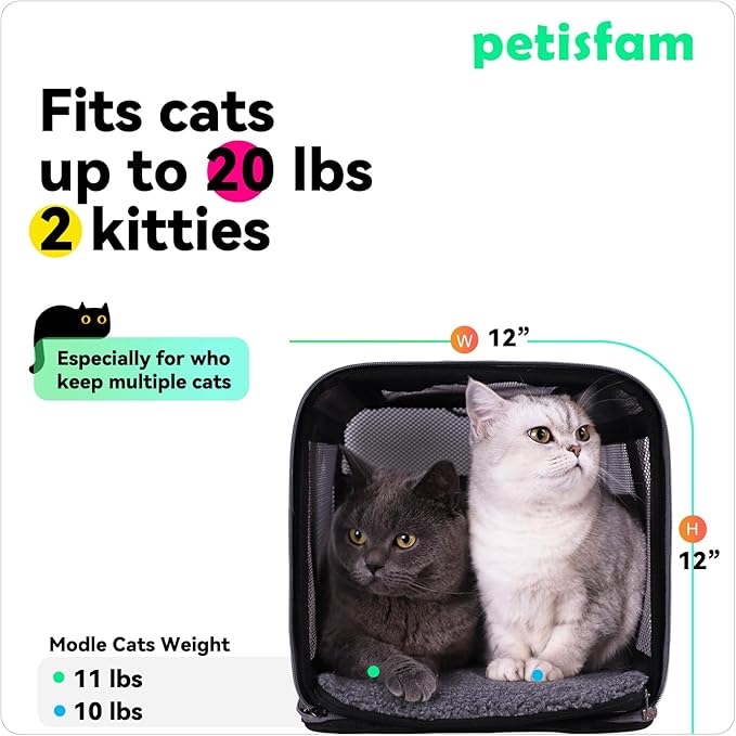 Quick-in Pet Carrier for Cats. 360° Airy Mesh Windows Let Fur-Kids See You & Breath Easy, Reduce Travel Anxiety. Rip-Stop Fabric & Lockable Zips Hug Securely. Washable Pad. Adjustable Shoulder Strap