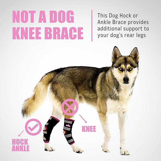 NeoAlly Dog Back Leg Braces [Long Version] Canine Hind Hock Sleeves with Safety Reflective Straps for Injury and Sprain Protection, Wound Healing and Loss of Stability from Arthritis (Pink XS Pair)