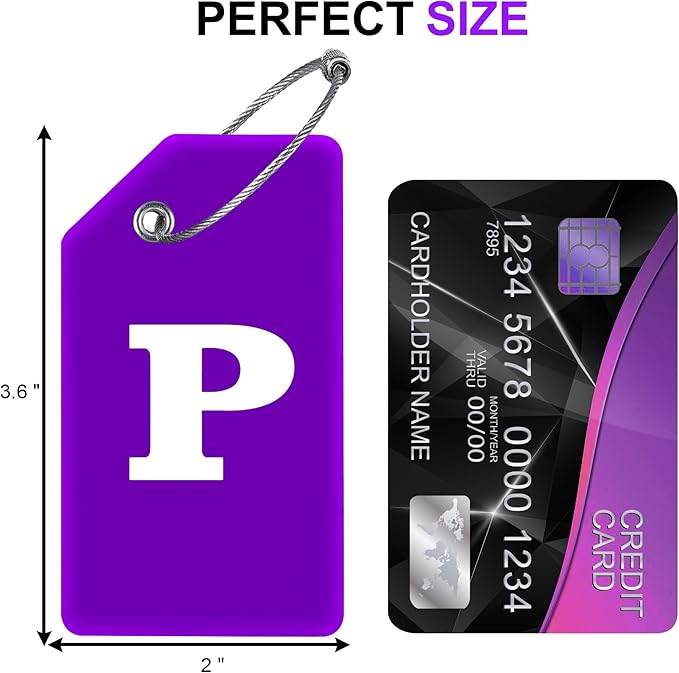 Gostwo 2 Pack Silicone Luggage Tags for Suitcases, 26 Initial Letter Baggage Labels Handbag School Bag Suitcase Instrument Tag with Stainless Steel Loop(Purple) (Letter P)