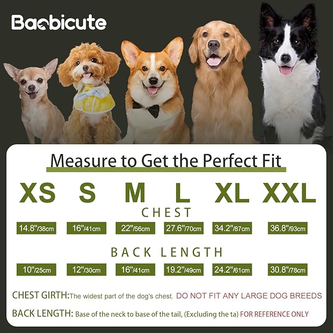BAOBICUTE Dog Basic Hoodie Soft Dog Clothes Cold Weather Sweaters for Medium Large Dogs Cozy Fabric Warm Sweatshirt with Leash Hole (Security, X-Large)