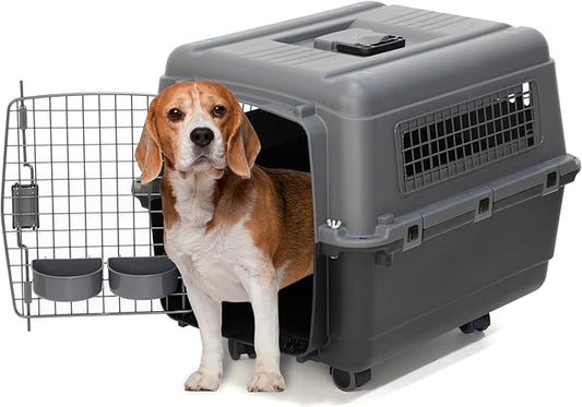 SportPet Airline Approved Wire Door Travel Dog Crate, Durable Plastic Pet Travel Kennel with Removable Wheels,Collapsible, Food Bowls & Accessories, Fits Dogs up to 24" L & 16" H - Medium -Gray/Black