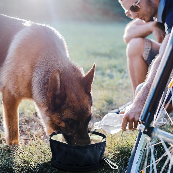 LumoLeaf Collapsible Dog Bowls, Large 68oz/80oz Lightweight Foldable Travel Bowl 10 Cups, Portable Water and Food Bowls for Pets Dogs with Zipper (White)