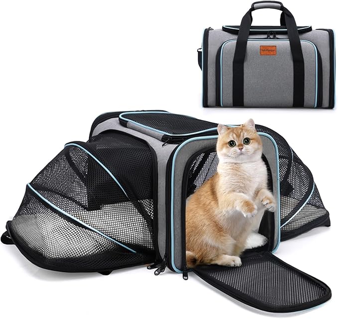 Expandable Pet Carrier,Airline Approved Soft-Sided Cat Dog Travel Bag with Hard Shell Base, Blue Trim, Removable Fleece Pad for Small Pets (Gray)