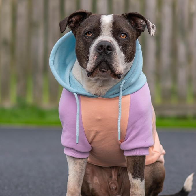 Spark Paws Dog Hoodie – Premium Dog Sweater for Small, Medium, and Large Dogs | Warm Outfits for French Bulldogs, Pitbull, Puppy, Winter Jacket Alternative - Cotton Candy - 4XL