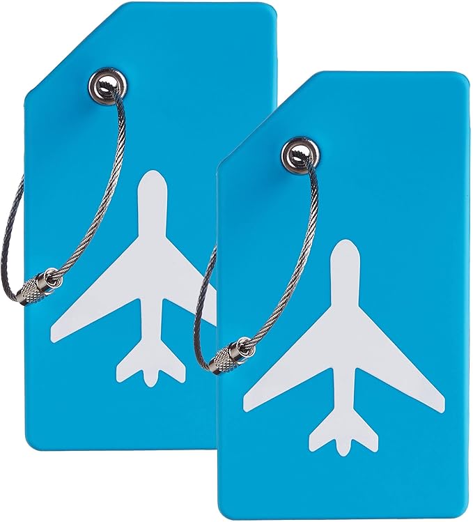 Gostwo 2 Pack Silicone Luggage Tags for Suitcases, 26 Initial Letter Baggage Labels Handbag School Bag Suitcase Instrument Tag with Stainless Steel Loop(Sky Blue)(Airplane)