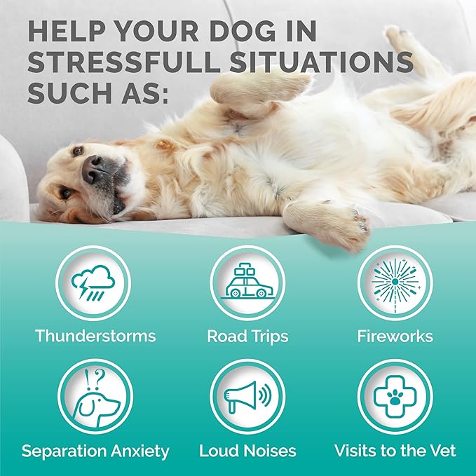 PREMIUM CARE Calming Chews for Dogs, Made in USA - Helps with Dog Anxiety, Separation, Barking, Stress Relief, Thunderstorms and More, 9.3 oz (264g), 120 Count