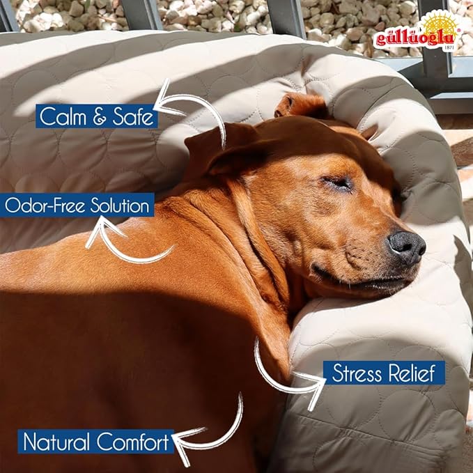 GÜLLÜOGLU Vetnatural Dog Calming Diffuser Plug-in with Natural Pheromone Formula – 60 Day Refill Kit for Dogs, Stress & Anxiety Relief, Indoor Behavior Support