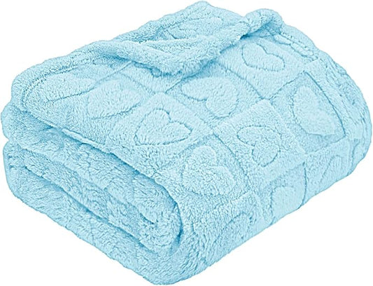 MACEVIA Fluffy Fleece Dog Blankets,Warm Soft Fuzzy Pets Blanket for Puppy,Small,Medium,Large Dogs and Cats,Plush Pet Throws for Bed,Couch,Sofa,Travel(29x40 Inch, Light Blue)
