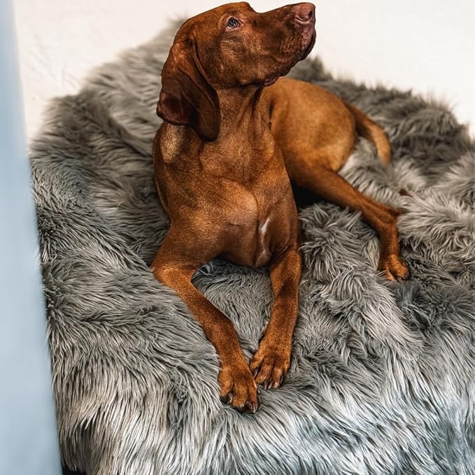 Waterproof Dog Blanket for Small, Medium & Large Dogs – Faux Fur Pet Throw for Couch, Sofa, Bed & Car – Soft, Washable, Stain-Resistant, Durable Cover – Grey – 60" x 50"