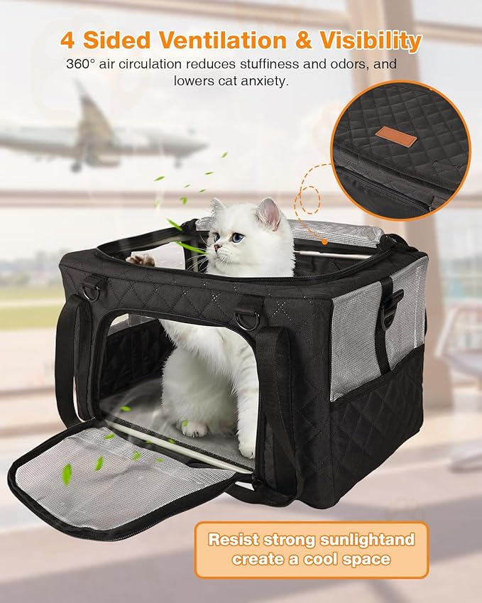 PETUX Airline Approved Cat Carrier for Small Cat - 16" x 10" x 9.5", Double Anti-Escape, Collapsible, Underseat, Under 10 lb with Removable Snack Bag, Safety Buckle, Leash - Ideal for Travel - Grey