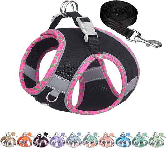 AIITLE XXS Dog Harness & Leash Set - Breathable Reflective No-Choke Small Dog Harness for Teacup Puppies, Indoor/Outdoor Use - Boston Terrier, Maltese, Chihuahua(Black, XXS)