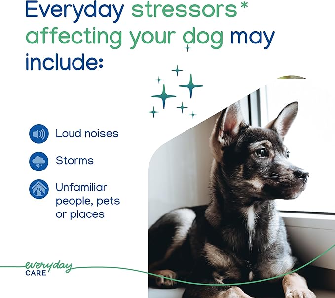 ZENIDOG Gel Diffuser - Dog Calming Pheromone Diffuser for Stress Relief No Electricity Required and Lasts up to 2 Months by Virbac