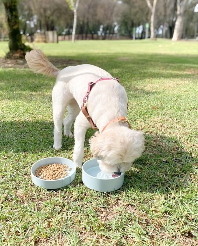 Barkin’ Trails Travel Dog Bowls, Portable Outdoor Water, BPA-Free Water Bowl Set, Food Grade Plastic Dog Travel Bowl, Dog Camping Essentials, Travel Container