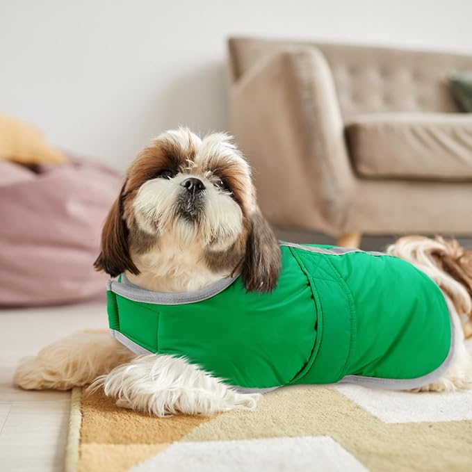 Queenmore Dog Winter Coat, Cold Weather Fleece Jacket for Dogs, Waterproof Reflective Reversible, for Small, Medium and Large Dogs (Green, S)