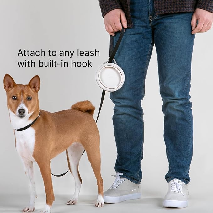 Nomad Small Collapsible Dog Bowl - 2 Cup Food-Safe Silicone Travel Bowl for Dogs, Portable & Sturdy, Food/Water, Dishwasher Safe - Sand